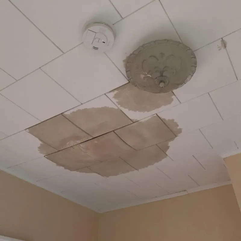 Ceiling Water Damage Repair in Kendall County, IL