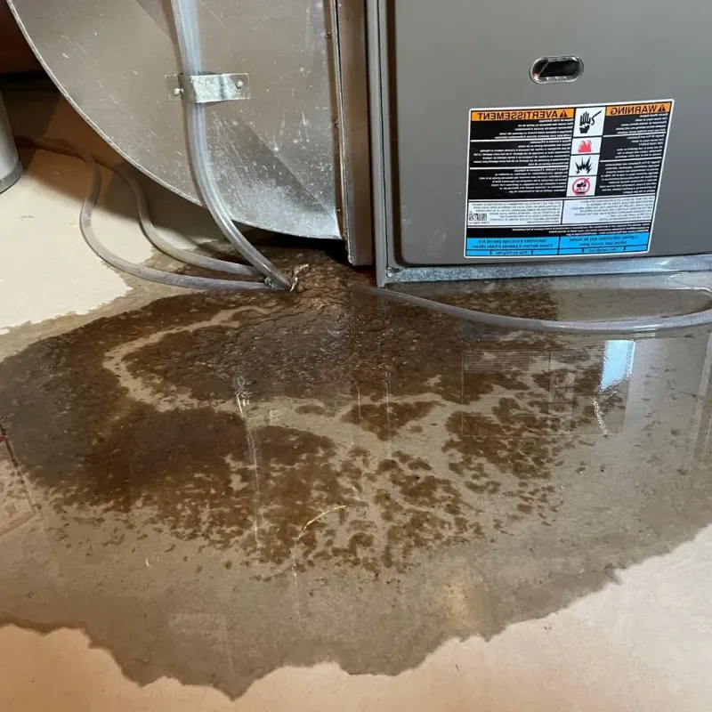 Pipe Burst and Leak Restoration in Kendall County, IL