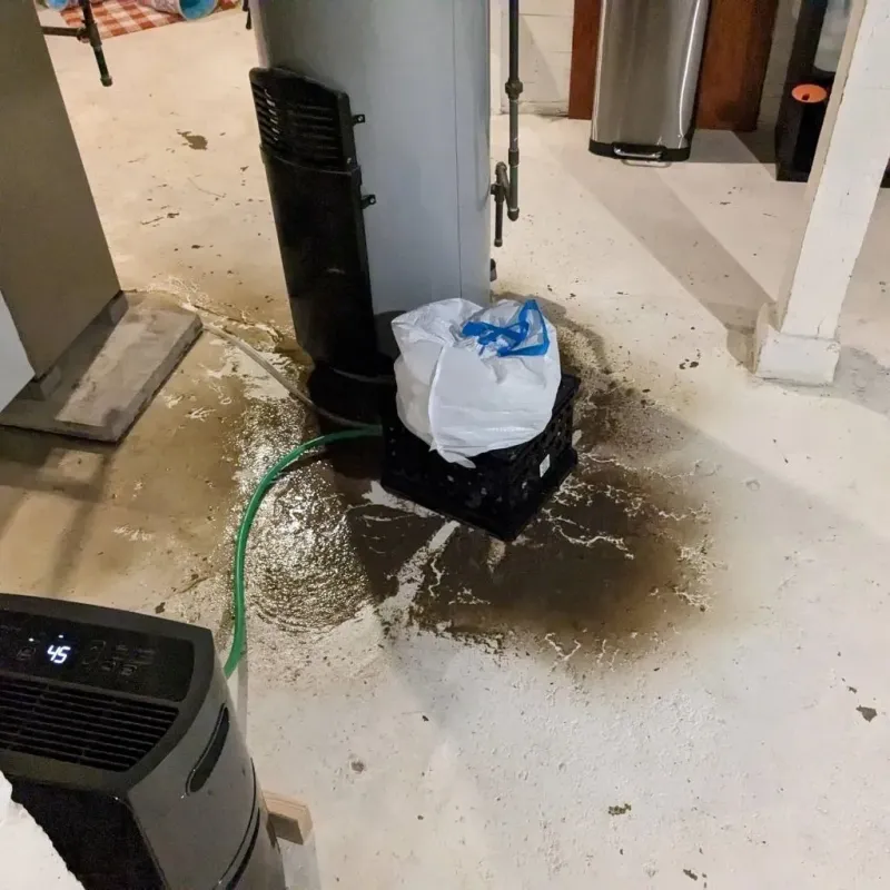 Sewage Backup Cleanup Service in Kendall County, IL